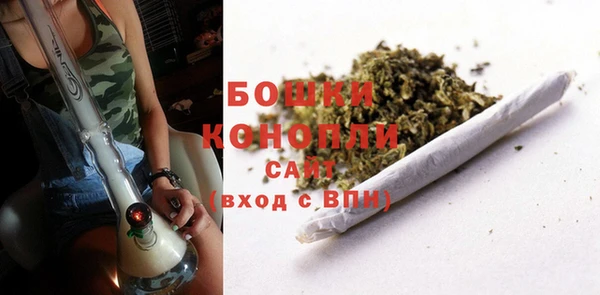 сатива Белокуриха