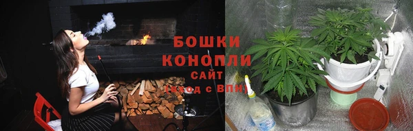 хмурый Корсаков