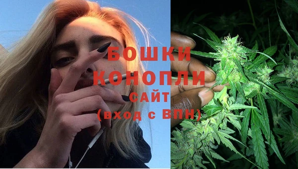 сатива Белокуриха